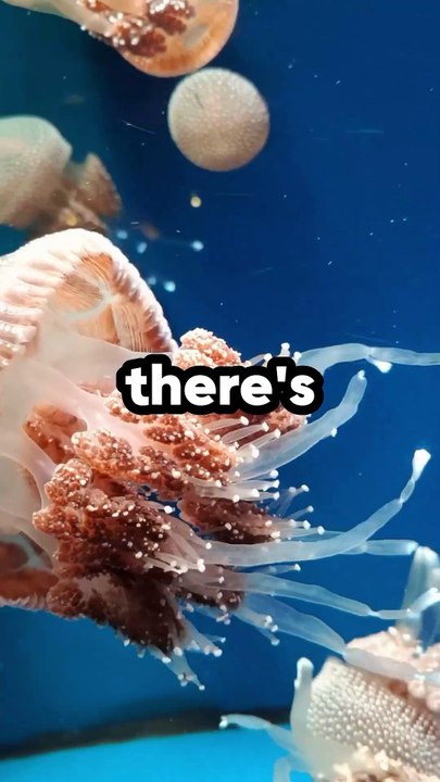 5 mind blowing psychology facts about animals part-6 #facts #interestingfacts #animals #shorts