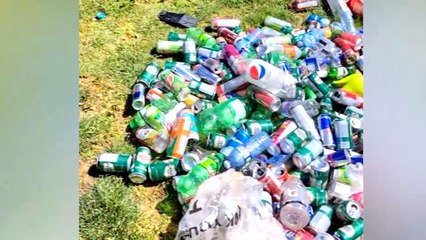 Thrifty Swifty Collects Recycling to Pay for Taylor Swift Concert Tickets