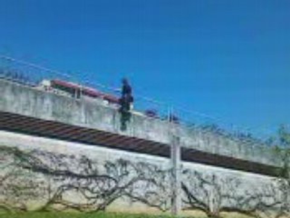 VID030