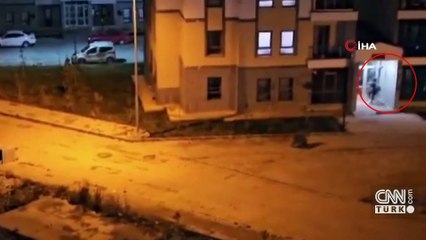 Görüntüler Sarıkamış'tan: Aç ayılar şehir merkezine indi...