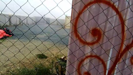 Foggy Morning Walking