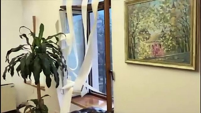 Un ataque ruso en Kiev daña varias misiones diplomáticas, entre ellas la de Argentina