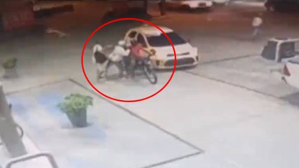 Video reveló balacera durante millonario asalto a concejal de Soledad