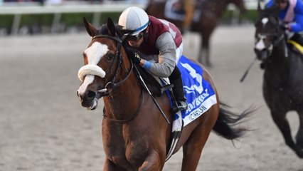 Preview of Pegasus World Cup & Harland's Holiday Race