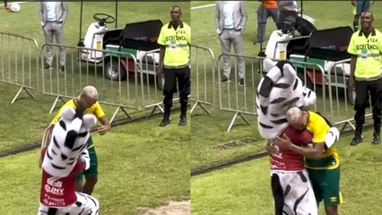 Cazador cazado: La broma de una mascota del Brasileirao a Deyverson