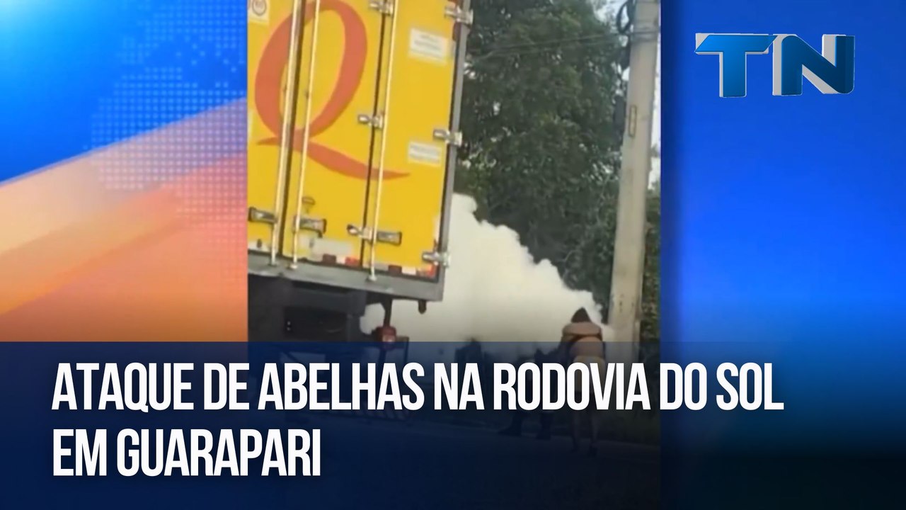 Ataque de abelhas na Rodovia do Sol em Guarapari