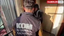 Beykoz'da Kaçak Vahşi Hayvan Operasyonu