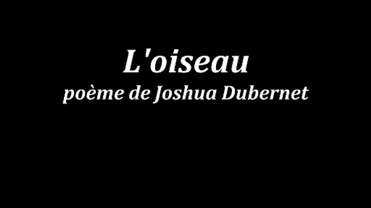 L' oiseau