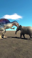 Animals 3D Animation Games Fun games TV part 7