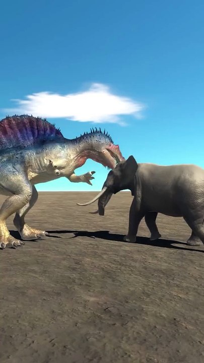 Animals 3D Animation Games Fun games TV part 7