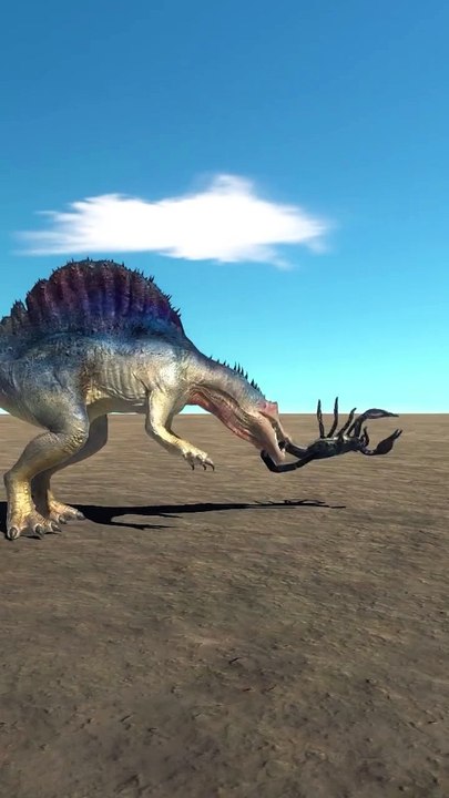 Animals 3D Animation Games Fun games TV part 8