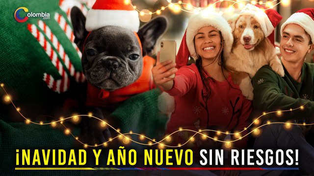 Navidad y año nuevo con Mascotas: Evita estos Alimentos peligrosos en esta temporada