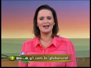 Encerramento Globo Rural Diário e Início Bom Dia São Paulo (11/10/2013) (SIMULAÇÃO)