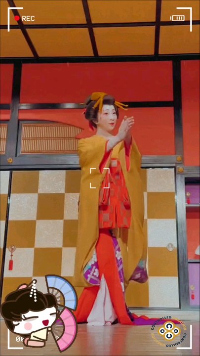 traditional JAPAN #oiran #花魁 #maiko #yūjo #遊女 #geisha #愛 #夢 #舞妓 #芸者