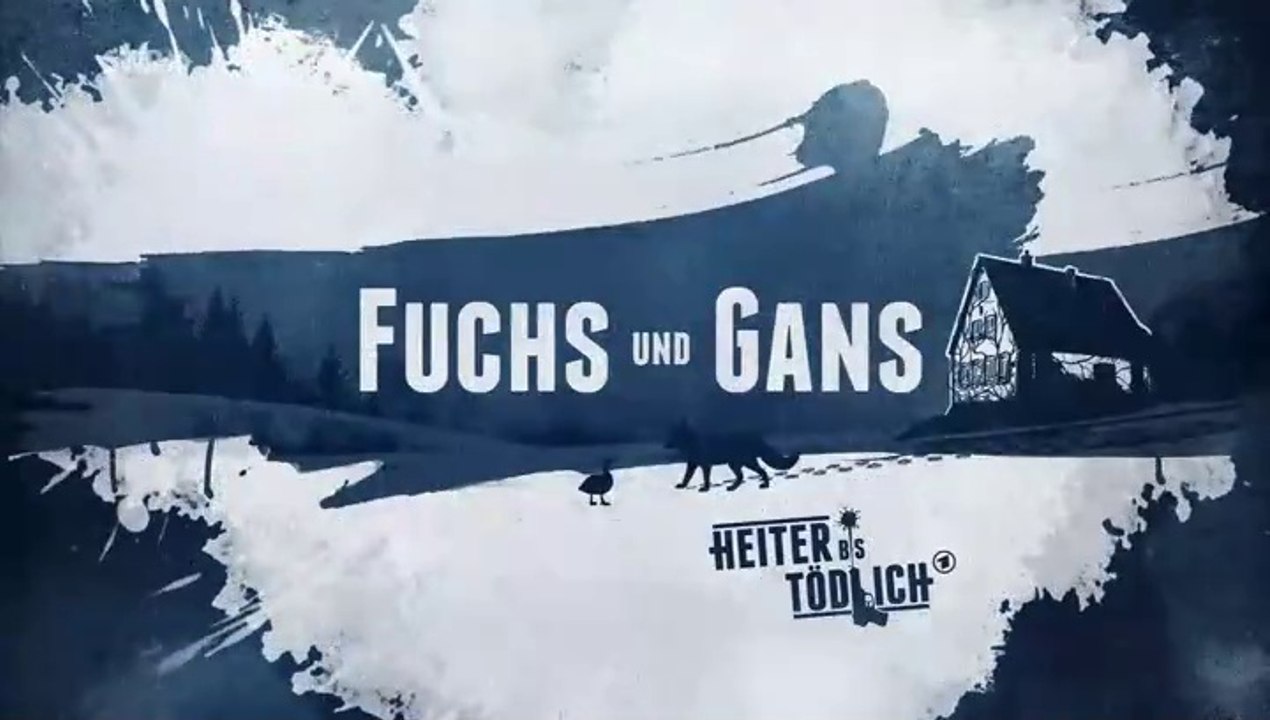 Fuchs und Gans -07- Sternschnuppen