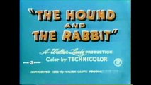 The Hound and the Rabbit | movie | 1937 | Official Trailer