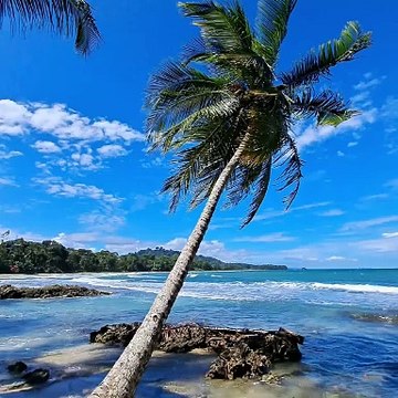 ZONA COSTERA DEL SUR DE COSTA RICA.