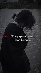 They speak better than humans