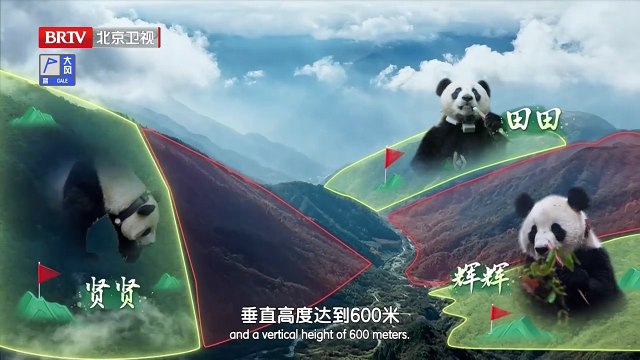 Tập thứ ba của -Cuộc phiêu lưu của gấu trúc- -Tiếng gọi rừng- khám phá quá trình huấn luyện hoang dã và giới thiệu lại khoa học về gấu trúc khổng lồ_Thời gian Bắc Kinh