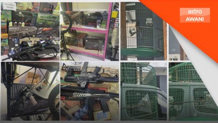Op Taring: PDRM rampas senjata tiruan, hidupan liar tanpa permit dan ubatan tanpa kelulusan