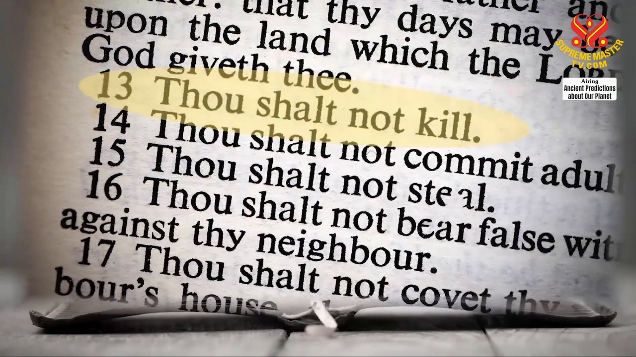 Prophecy Part 324: Awaken True Love with the Savior to Dissolve Calamity