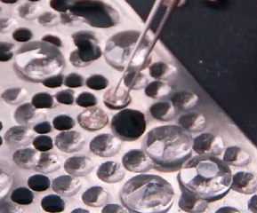 Shine and protect! DIY phone case created with kitchen foil!