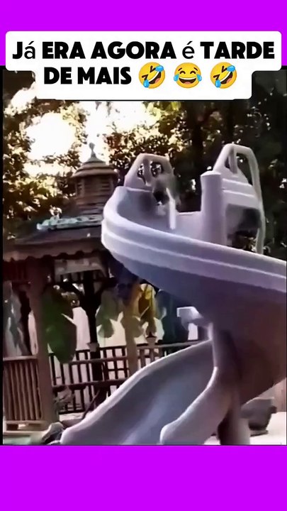 Vídeo de humor, risos e diversão