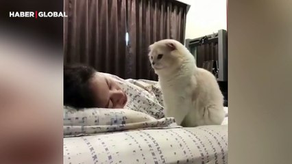 Her gün uyuduğunda kedisinin ona yaptıklarını kayıt altına aldığı anlar viral oldu