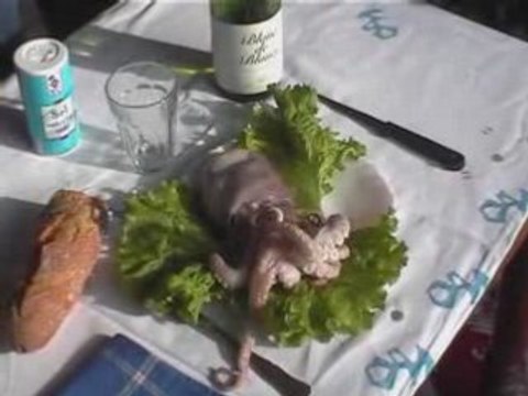 Fausse Pub Parodie Humour Le Poulpe Breton