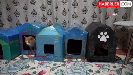 Gümüşhane'de Öğrenciler Engelli Kedilere Kedi Evi Yaptı