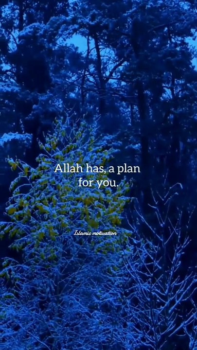 Motivation video Allah has a plane for you