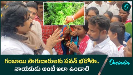 గంజాయిని అరికట్టడంలో సహకరించండి  | Deputy CM Pawan kalyan | Oneindia Telugu