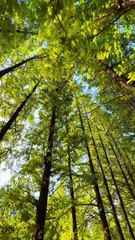 Awe-Inspiring_Nature_Beauty_🌄🌸_2