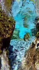 Awe-Inspiring_Nature_Beauty_🌄🌸_1