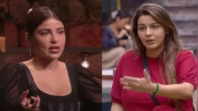 Bigg Boss 18: Yamini Malhotra And Edin Rose Double Eviction पर Public Shocking Reaction Viral