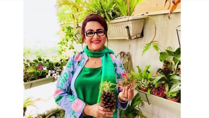 চলচ্চিত্রের কয়েকজন ছাড়া সবাই দুরবস্থার মধ্যে আছেন