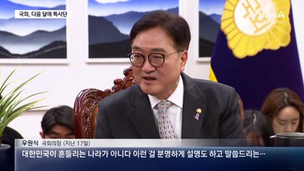 다음 달에 해외 특사단 파견…국회, 외교 챙긴다