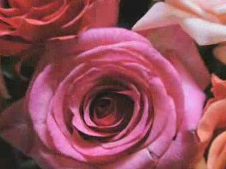 Les 4 saisons : Opus 2, le printemps