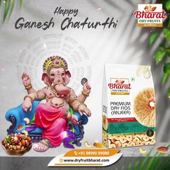 "Blessings of Lord Ganesha for Your Home"