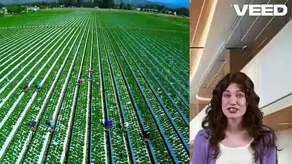 Why America Needs Migrant Workers Now-VEED