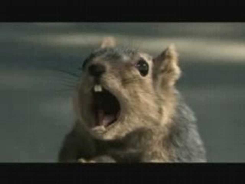 L'ECUREUIL PUB BRIDGESTONE