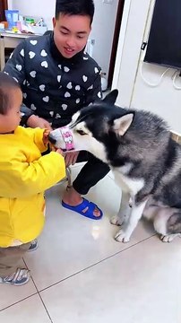 The child was playing with the dog.