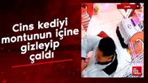 İzmir’de şaşırtan hırsızlık: Cins kediyi montunun içine gizleyip çaldı