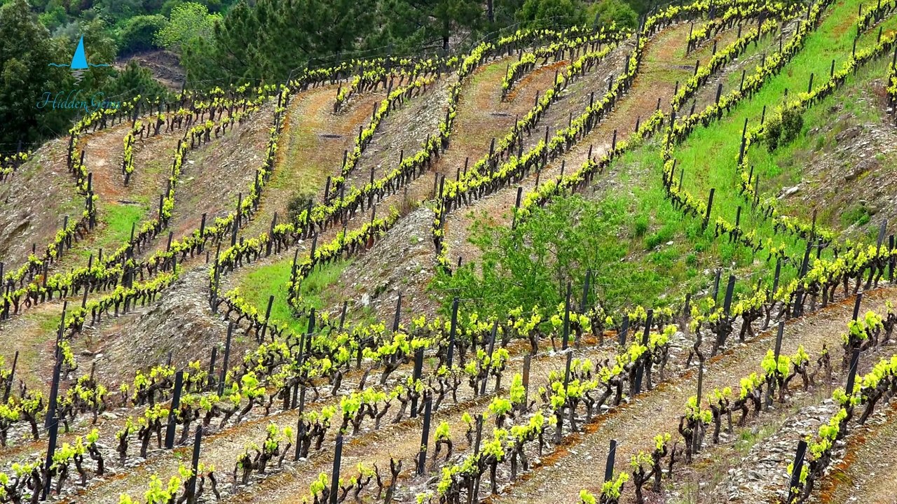 15 Natural Facts About Bulgaria | Hidden Gems