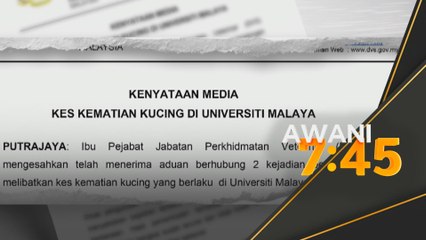 Kucing mati: Tiada saksi, CCTV punca siasatan makin sukar - DVS