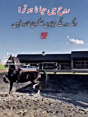 Sad poetry in sariki 💖✨💫