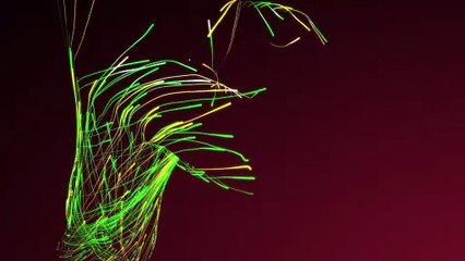 VTV3 ident Tết Dinh Dậu 2017 (No logo)