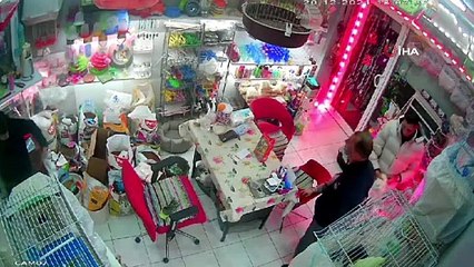 Cins kediyi montunun içine gizleyip çaldı