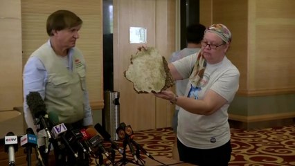 말레이, 2014년 실종 보잉777 여객기 재수색 결정 / YTN