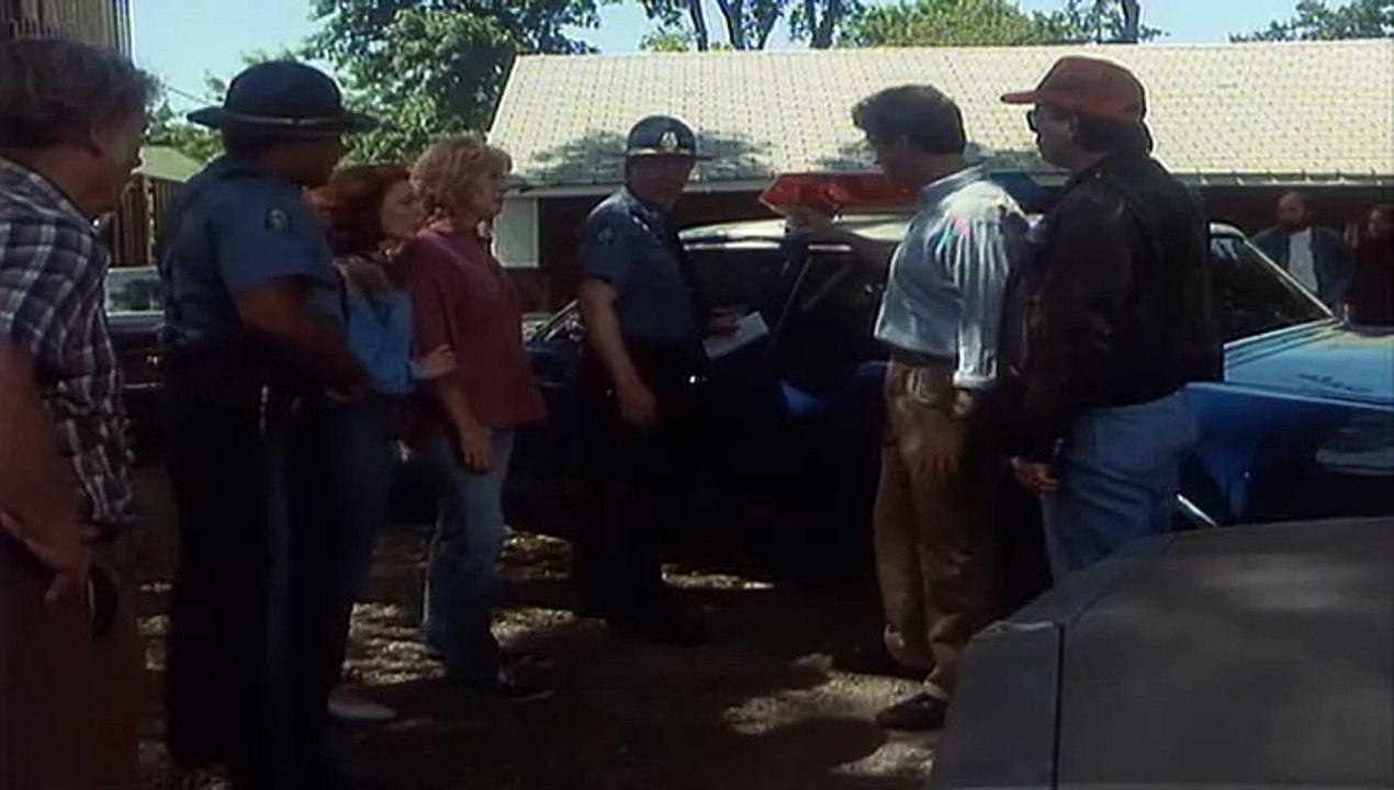 Fesseln der Liebe - Krimi/ Drama, USA 1993